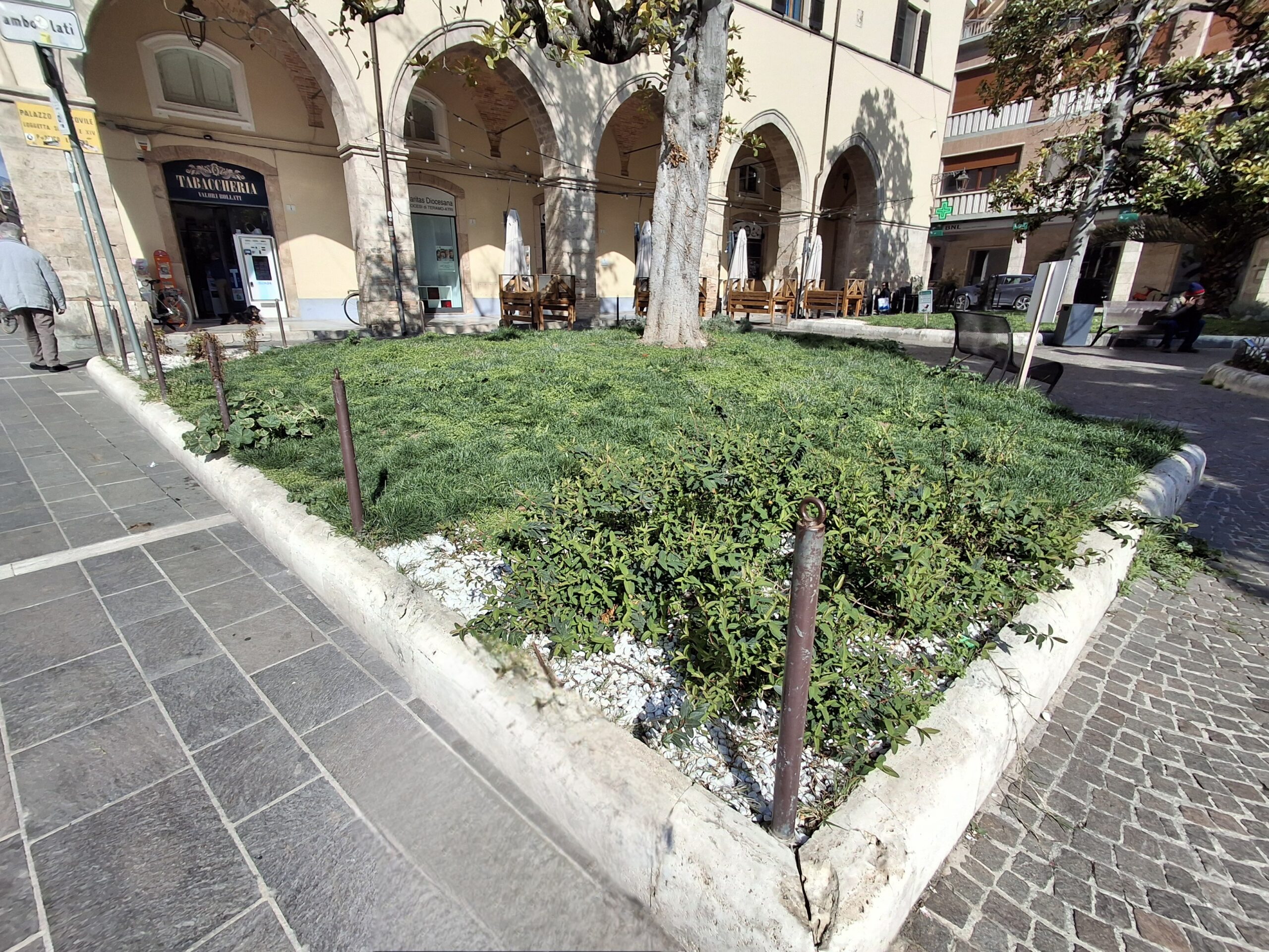 Il lettore: “aiuole non curate a piazza Orsini. Non un bel biglietto da visita”