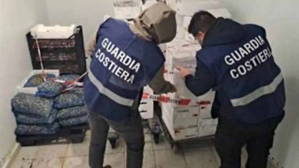 Blitz nel deposito ittico: sequestrati 850 chili di pesce