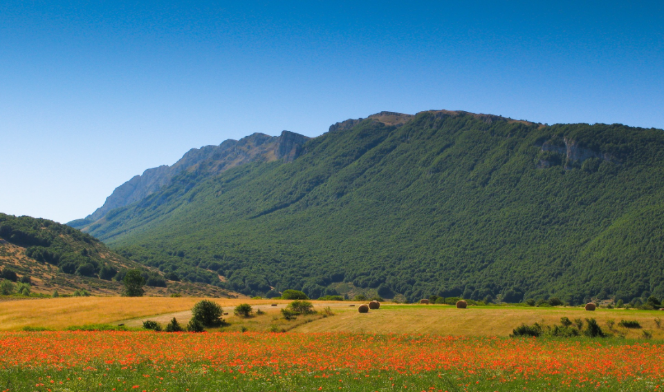 Sapori e Benessere: al via le attività per la valorizzazione del Parco Sirente Velino