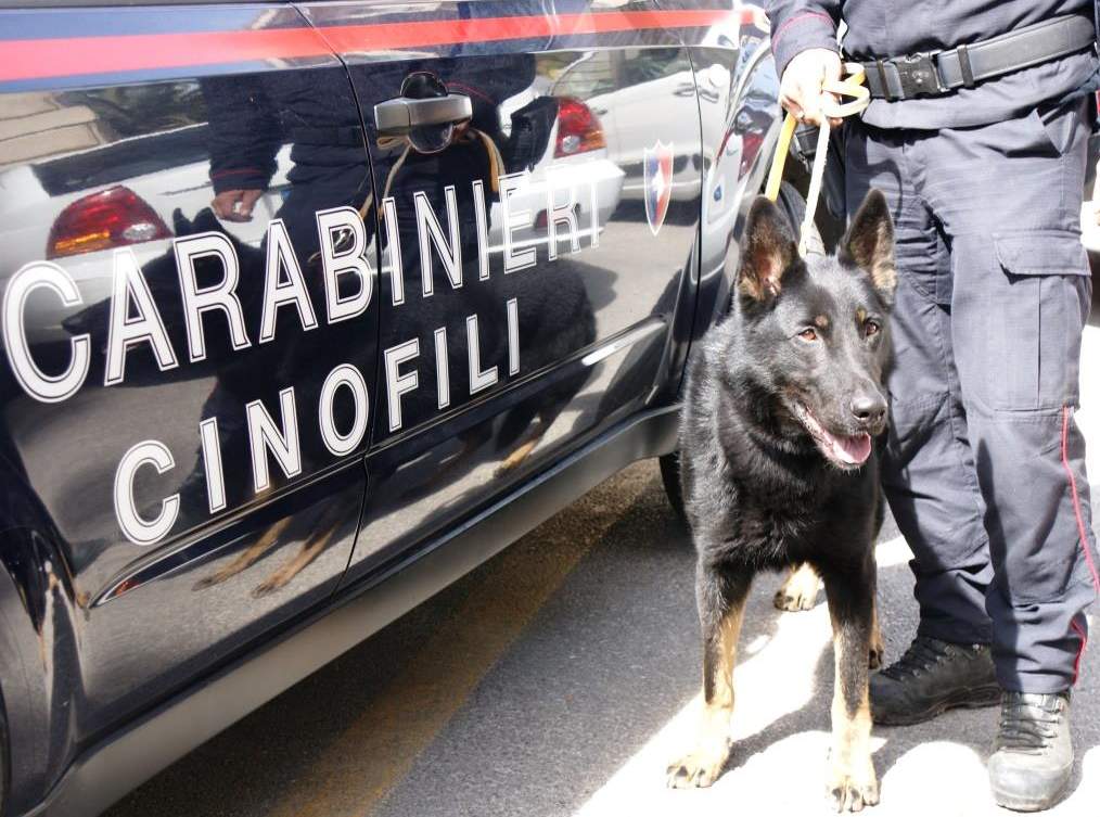 Sicurezza e igiene:operazione dell’Arma a Montesilvano, una denuncia