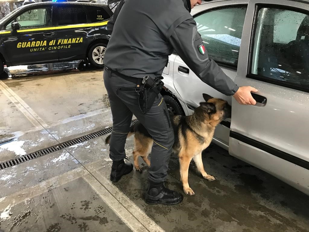 Il cane antidroga fiuta la cocaina. Arrestato un 65enne
