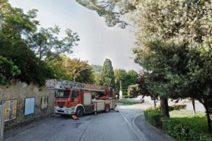 Pino pericolante in Viale Mazzini. Intervento dei Vigili del Fuoco e del vigile ecologico Calvarese