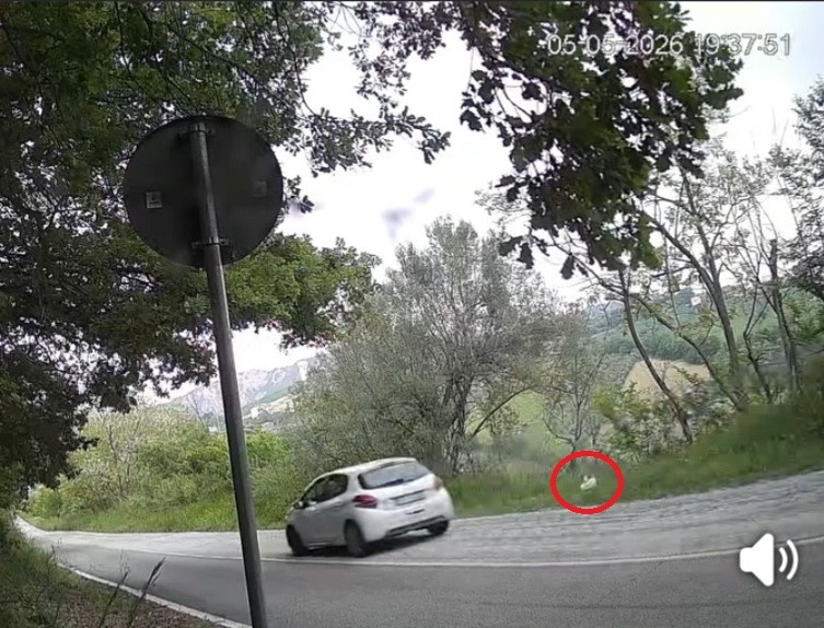 (Video) Teramo, monitoraggio contro i rifiuti selvaggi: in arrivo pesanti sanzioni