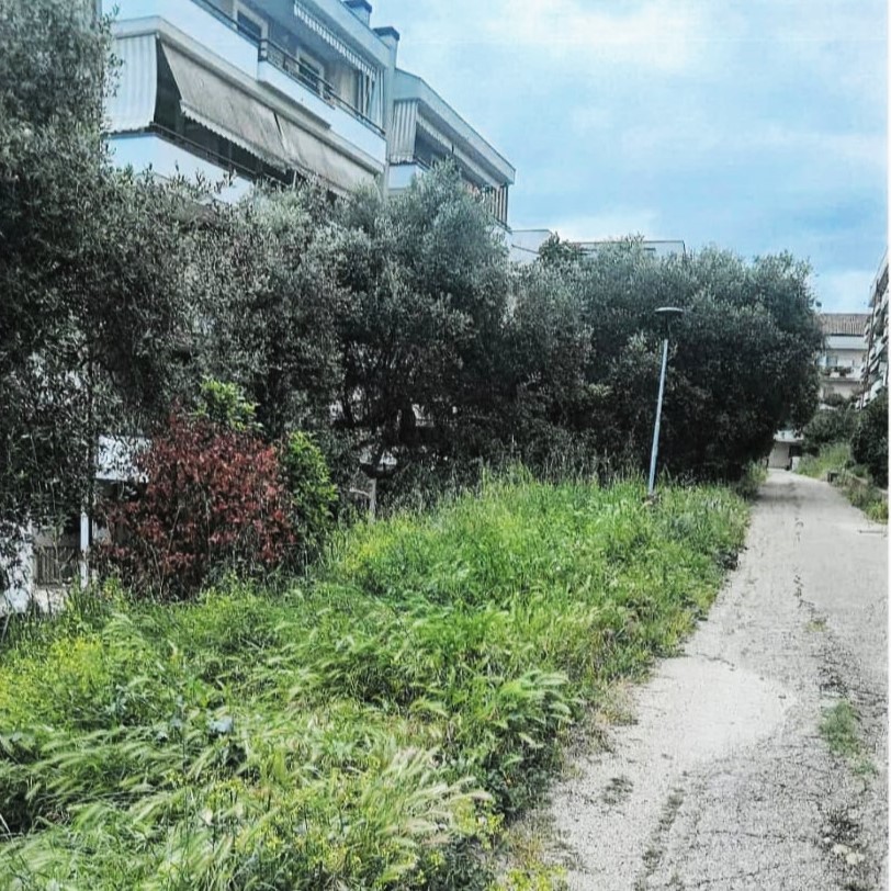 Appello dei residenti di via De Panicis al Comune di Teramo per la pulizia dell’area verde