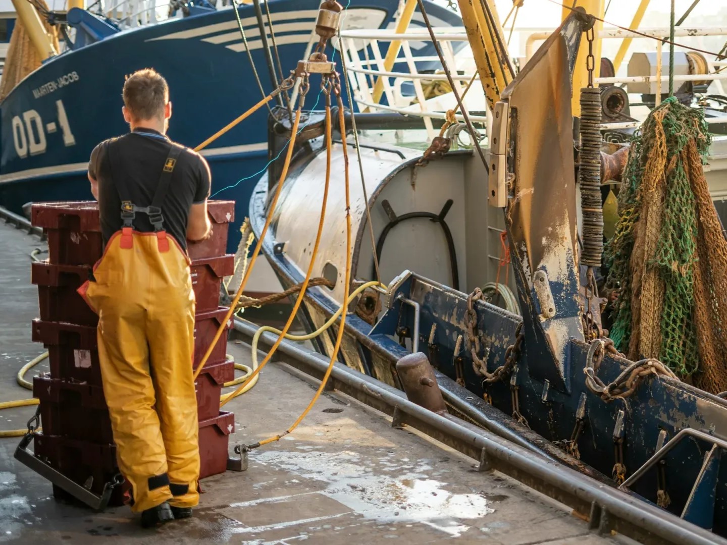 Blue Sentynet: avviato un piano di tutela per la pesca dei molluschi. Capofila l’IZS di Teramo