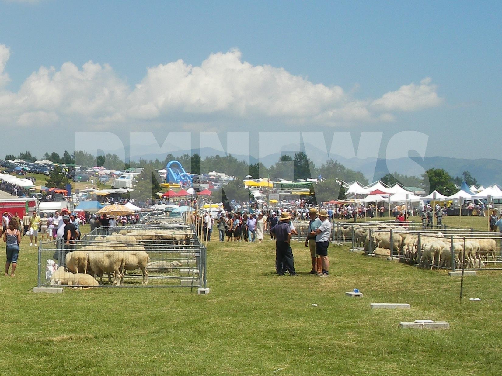 Fiera della Pastorizia di Piano Roseto: al via la 162ª edizione tra Crognaleto e Cortino