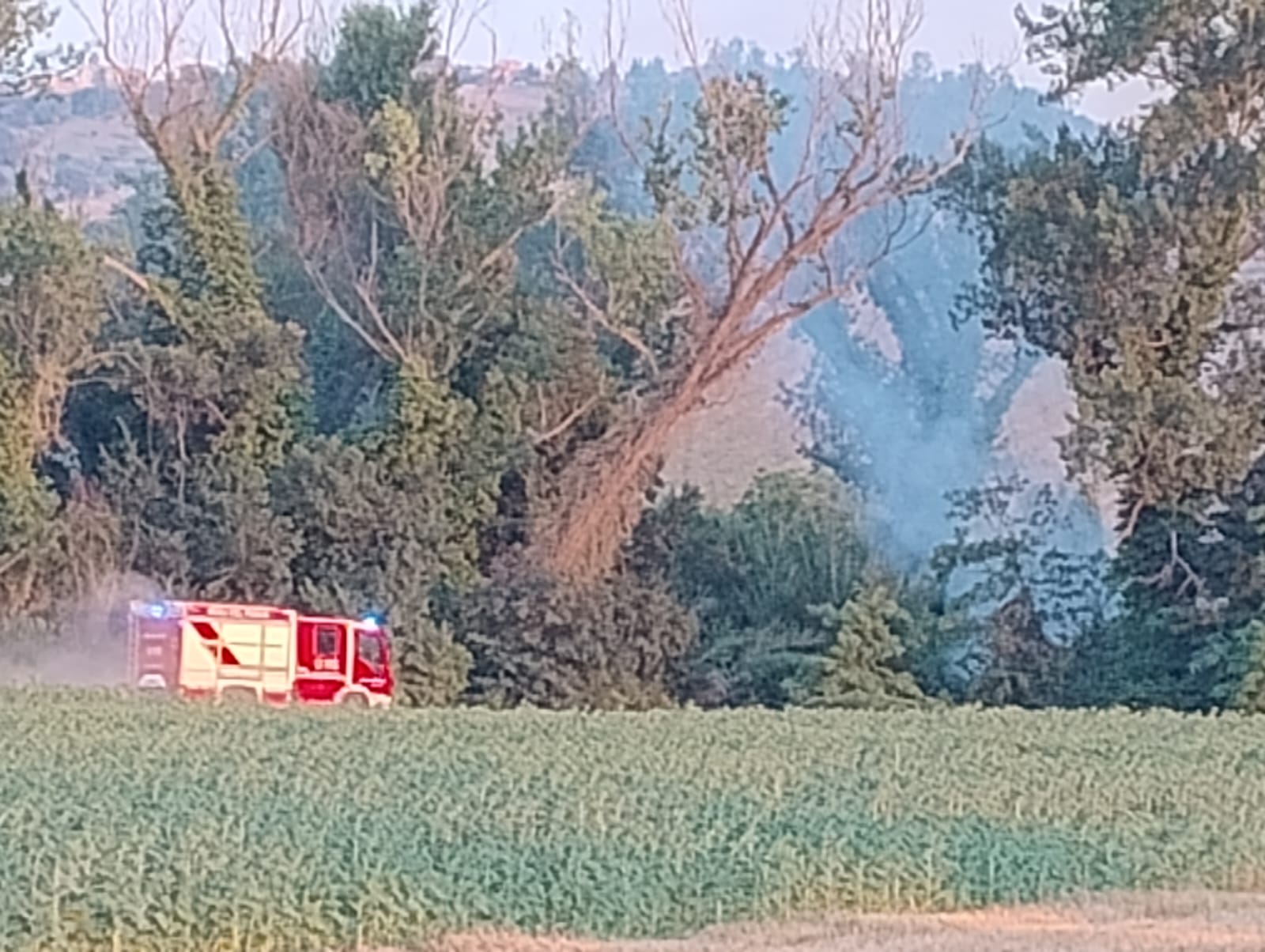 VIDEO. Principio d’incendio sulla Provinciale del Salinello