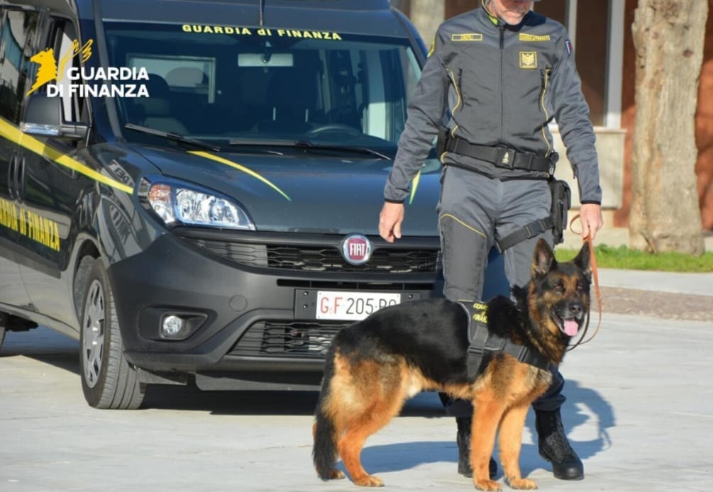 Operazione della Finanza a Pescara. Sequestri, multe e denunce