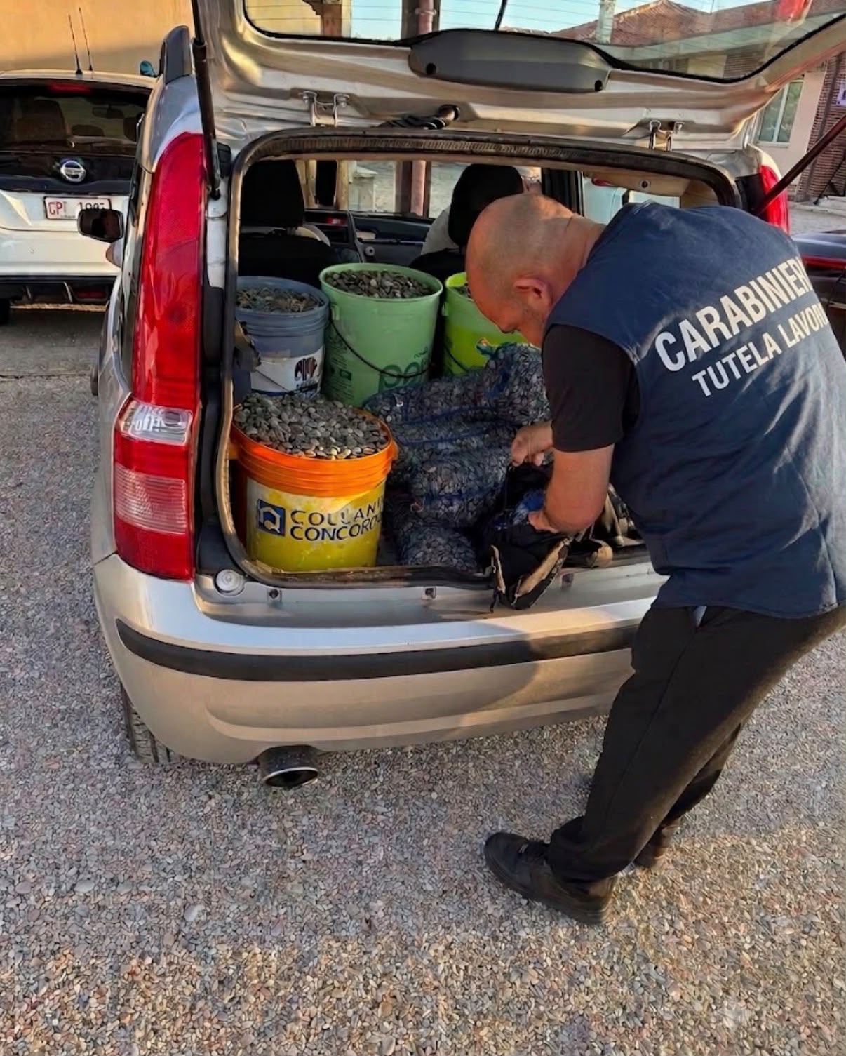 Trasportavano abusivamente 180 chili di vongole. Sequestro e sanzioni a Giulianova
