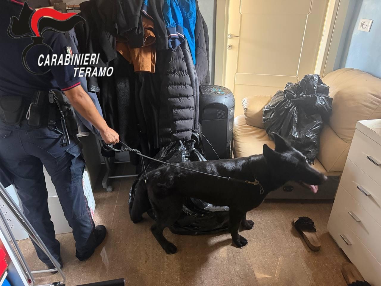 Blitz antidroga dei Carabinieri: due arresti e sei denunce,  sequestrate dosi di cocaina ed eroina