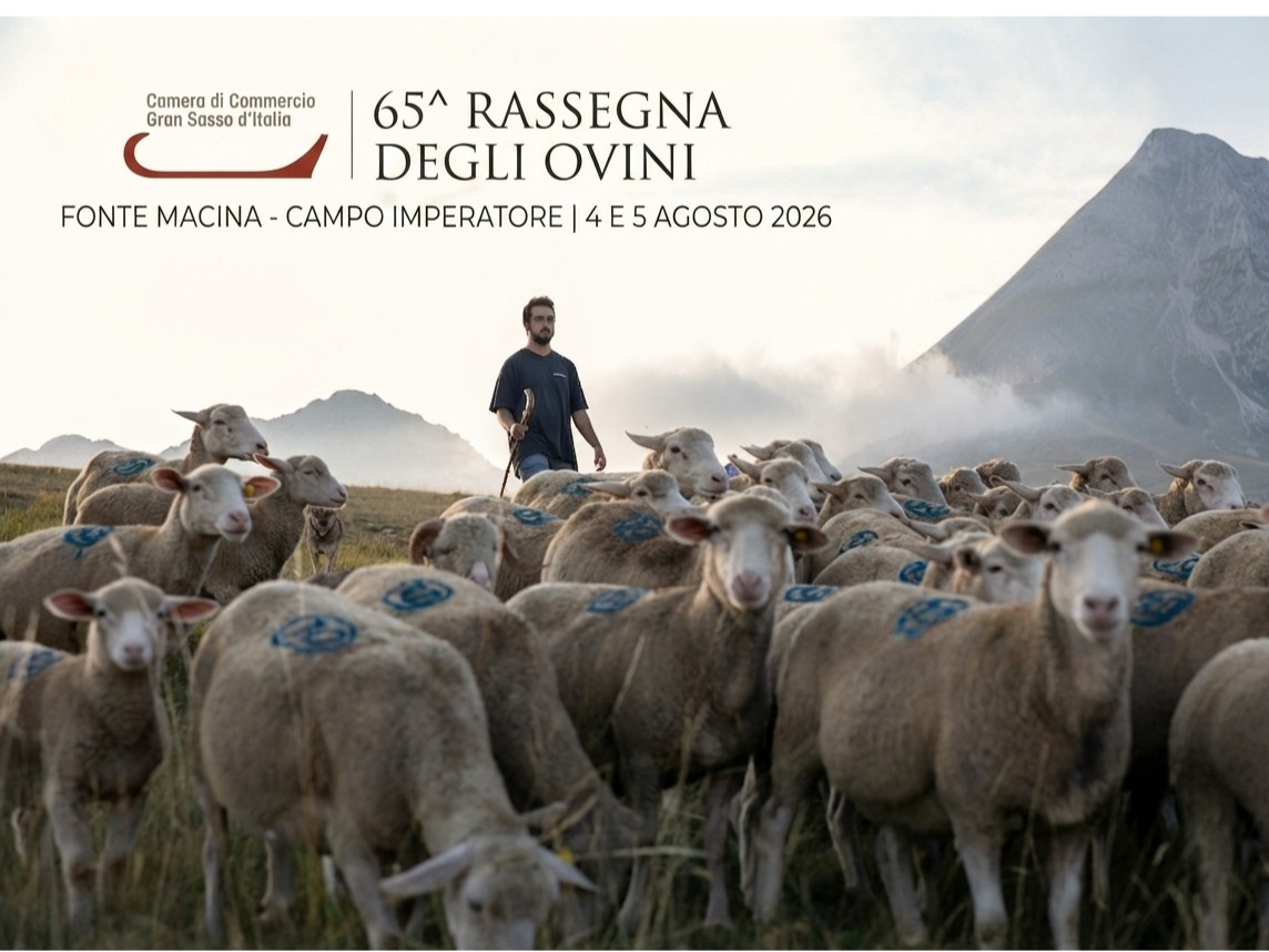 Rassegna degli Ovini a campo Imperatore, Al via il 4 agosto. Come partecipare