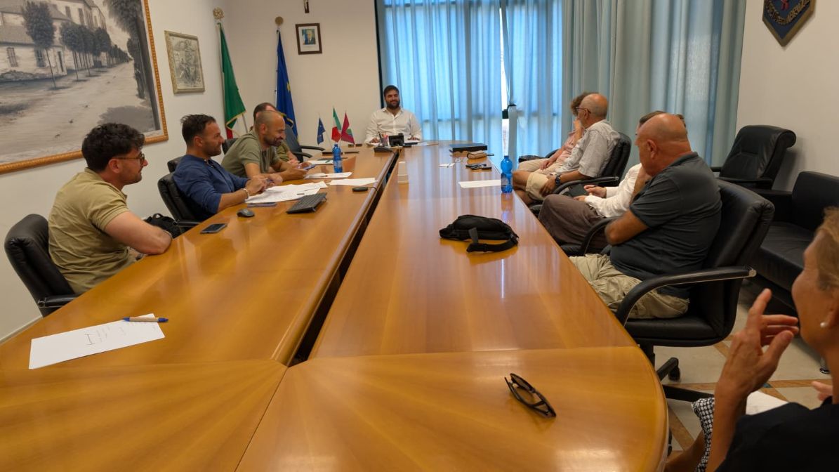 Roseto affronta l’infestazione dei pini: primo vertice operativo in Comune