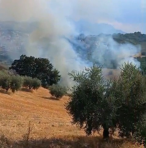 VIDEO. Incendio nella zona di Colleminuccio. Vigili del Fuoco in azione – Aggiornamento nell’articolo in calce