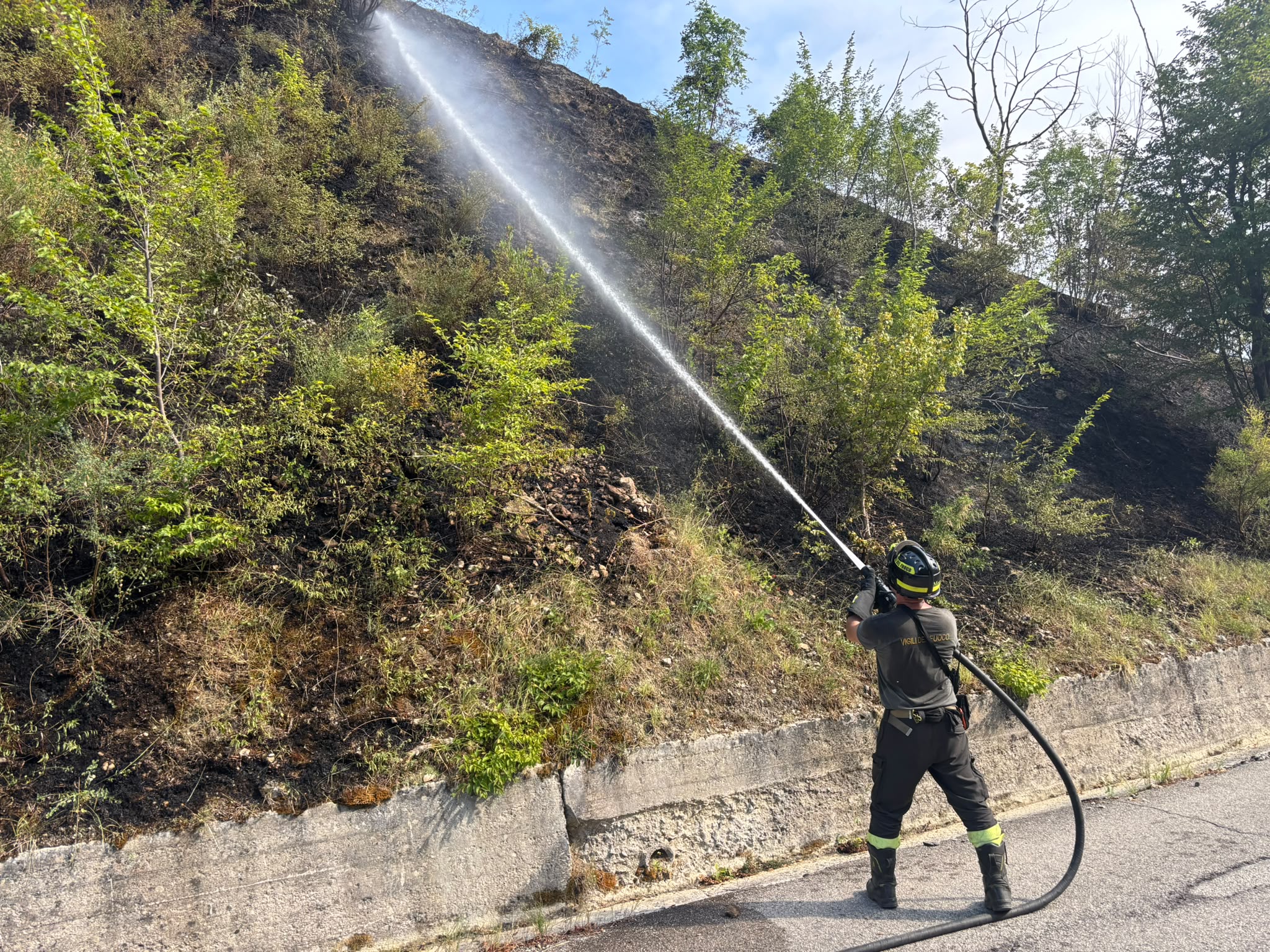(VIDEO) In fiamme vegetazione a Ioanella. I Vigili del Fuoco individuano tre inneschi