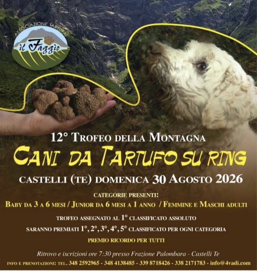 Cani da tartufo in gara a Palombara: appuntamento con il 122° Trofeo della Montagna
