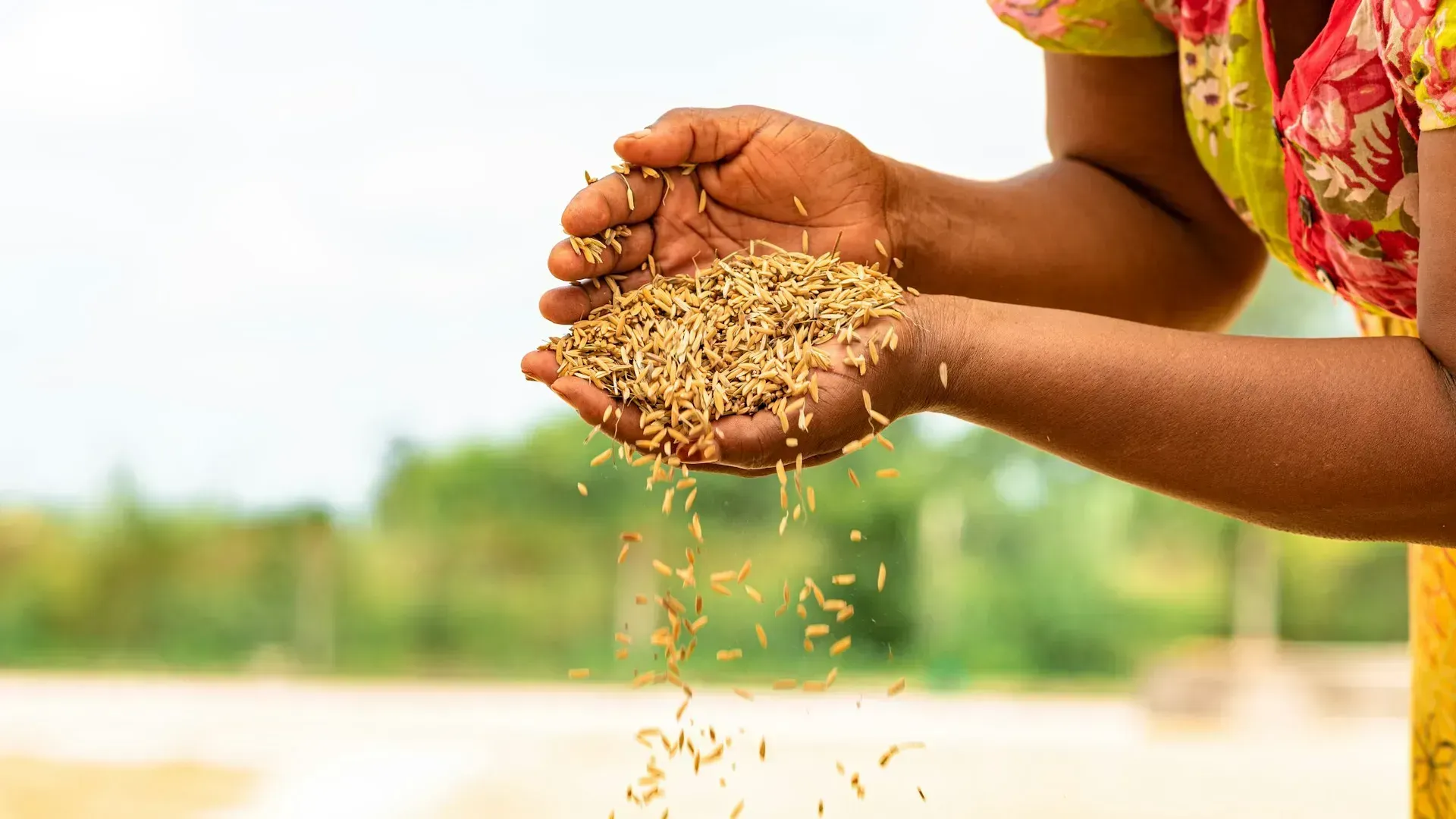Agricoltura, dalla Regione oltre un milione per innovazione e cooperazione. Pubblicato il bando