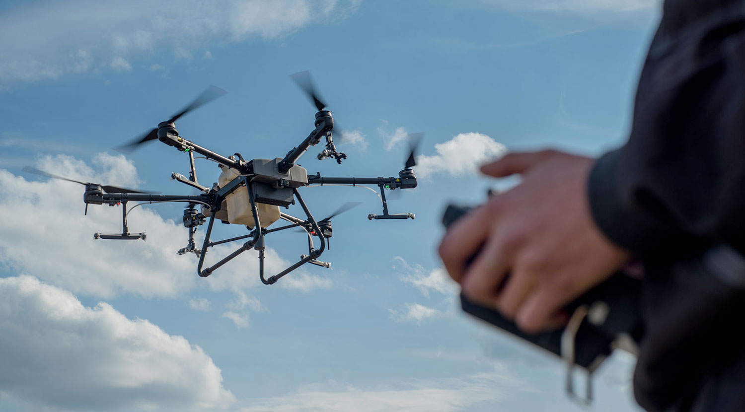Il drone dei Carabinieri individua una piantagione di cannabis: un arresto