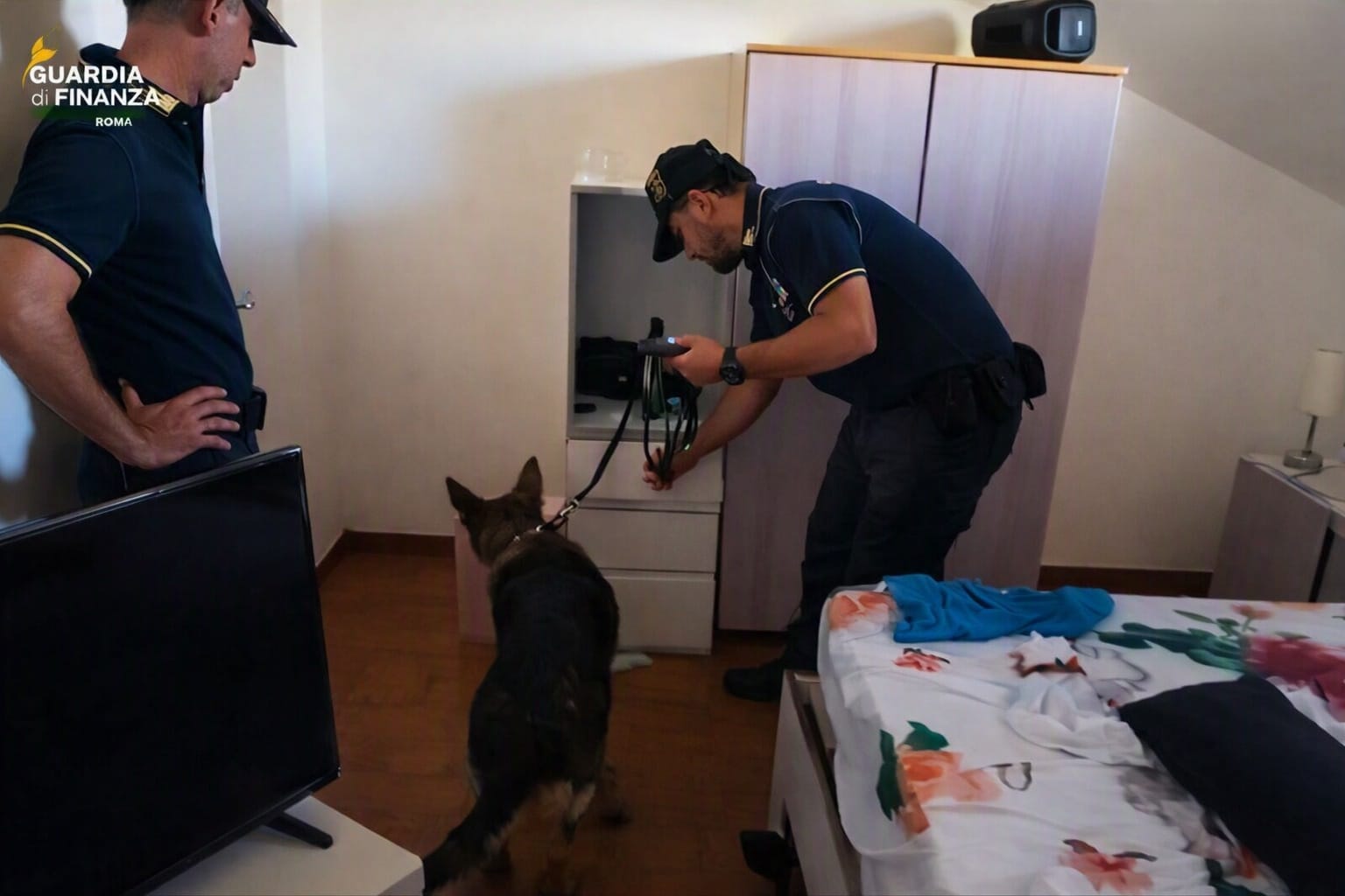 Spaccio, riciclaggio e ordini dal carcere: smantellata rete di droga con perquisizioni anche a Teramo