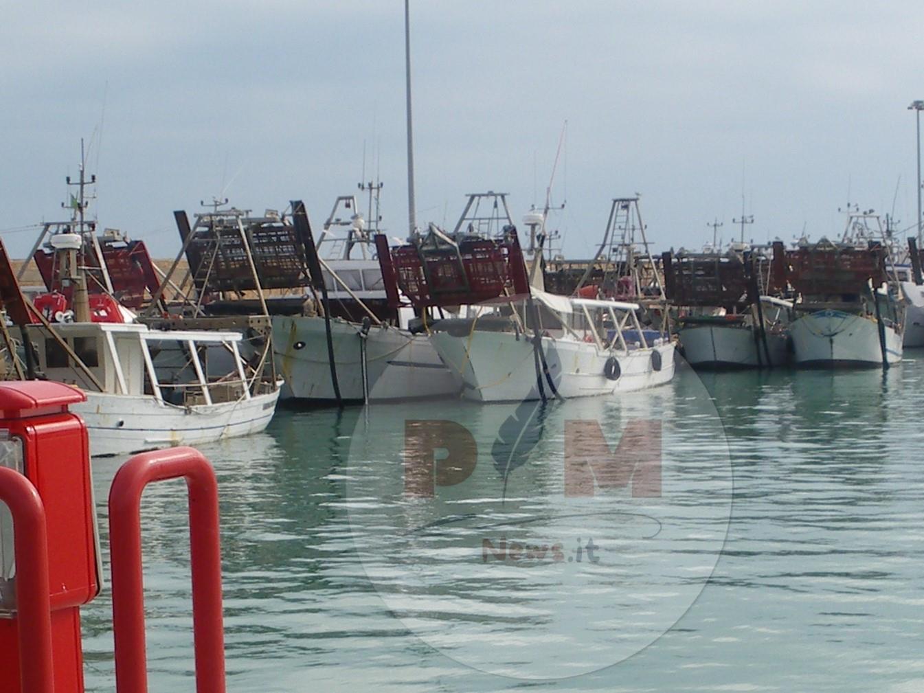 Sostegni alle imprese della pesca: al via il bando regionale