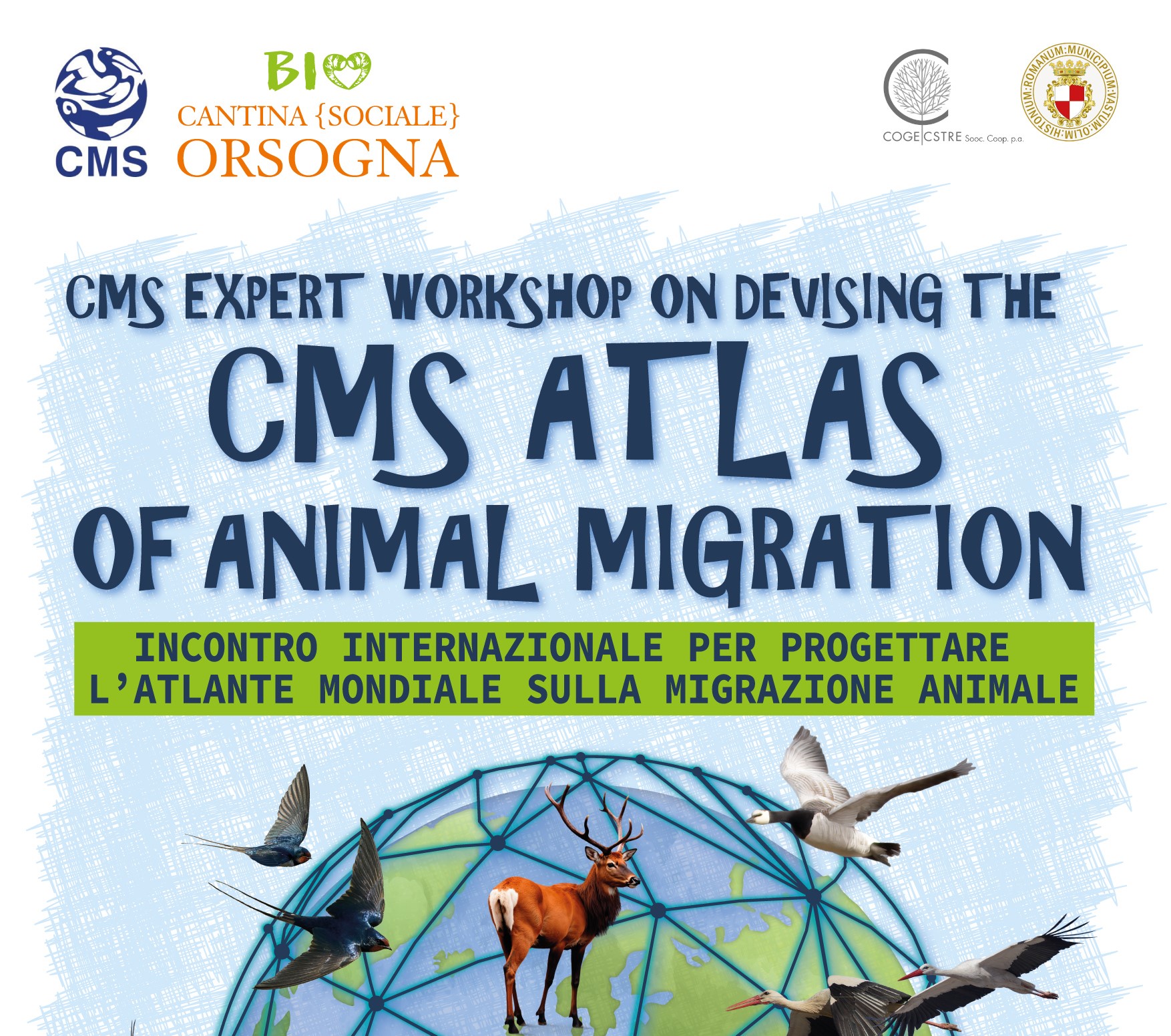 Esperti mondiali a Palazzo d’Avalos sul monitoraggio delle specie migratrici