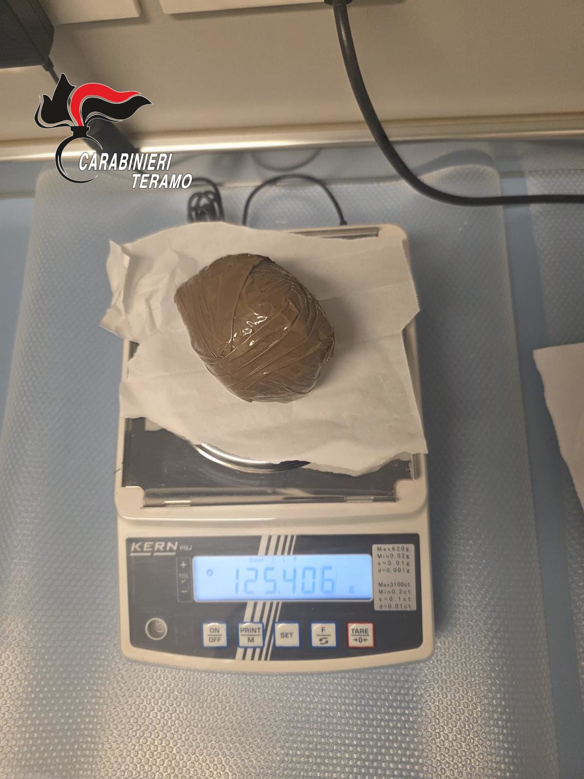 Corropoli. Il cane Fulmine Trova droga invece di tartufi e fa sequestrare 270 grammi di cocaina